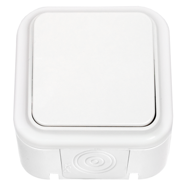 Фотография товара 'Bylectrica Выключатель одноклавишный ОУ IP44, А14-100'